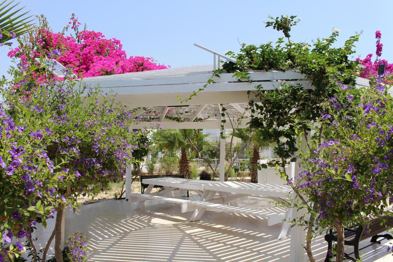 Caesar Beach Villas And Apartments Gastria المظهر الخارجي الصورة